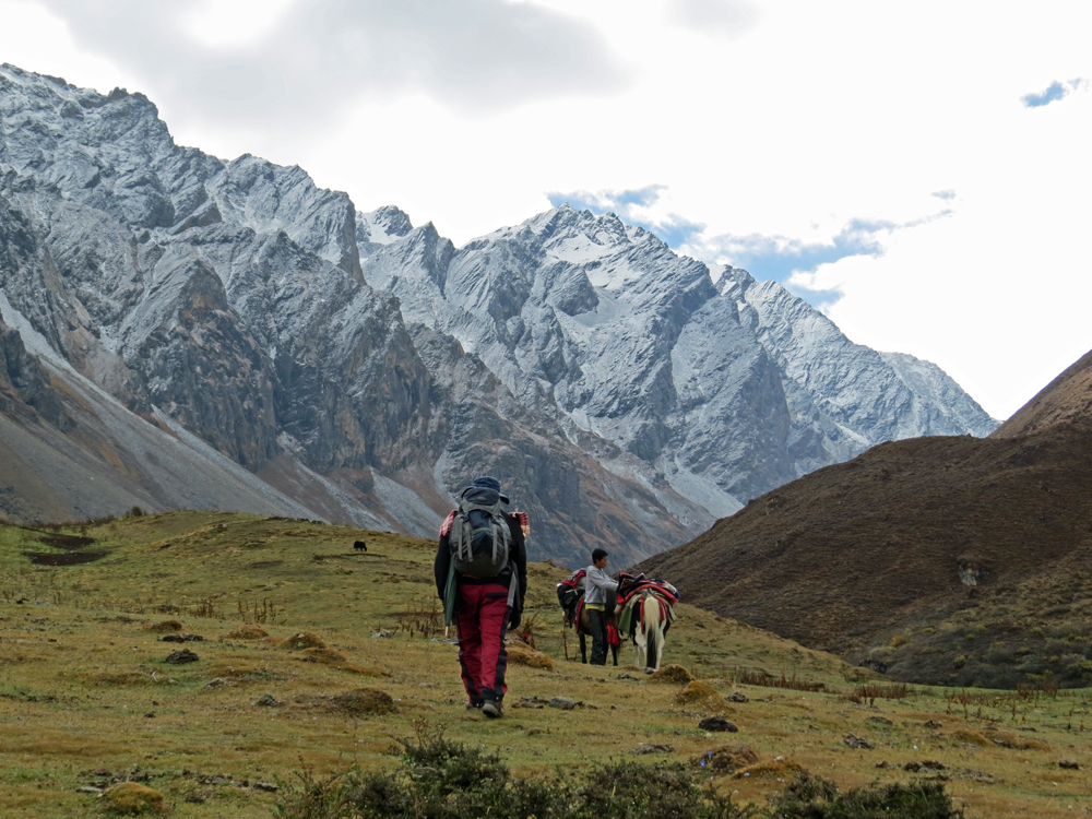 Laya Lingzhi: The Snow Leopard Trail